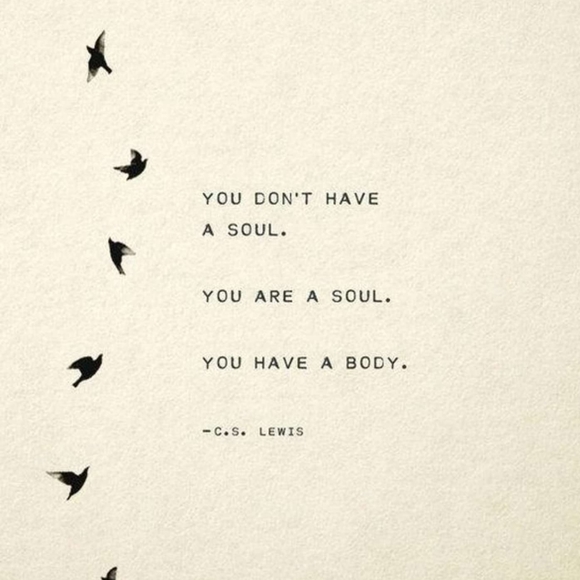 Meet your Posh-bro, Logan - Picture 8 of 9